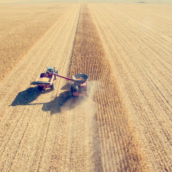 Aerial View of Agriculture Combine Corn Harvest