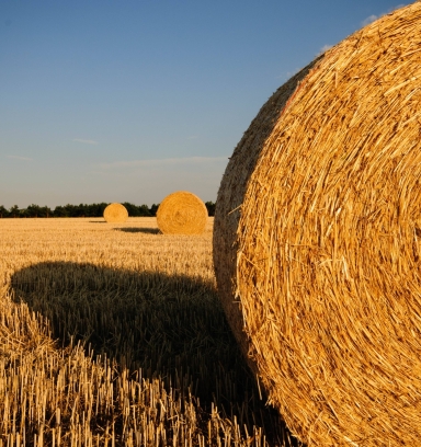 A big hay bale sitting in a field